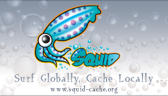 squid-cache